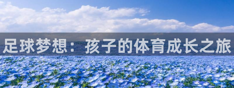 678体育官网地址：足球梦想：孩子的体育成长之旅